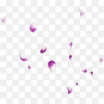 紫色插画树叶组合