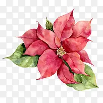 手绘创意红色花朵免抠图