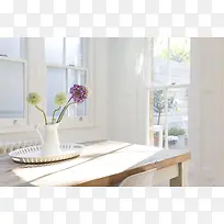 菊花盆栽桌子白色