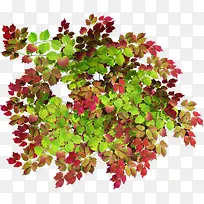 装饰素材花草图案素材
