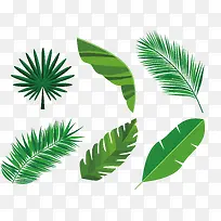 创意绿色热带树叶设计