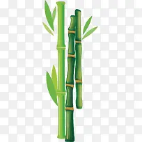 绿色竹子矢量图
