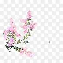 矢量花卉插画图案