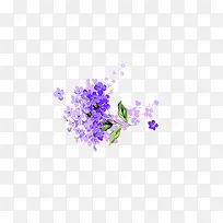 紫色手绘的薰衣草