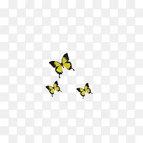 蝴蝶