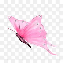 粉色手绘蝴蝶素材