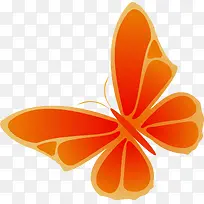 橙色卡通蝴蝶
