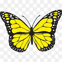 可爱的黄色蝴蝶手绘