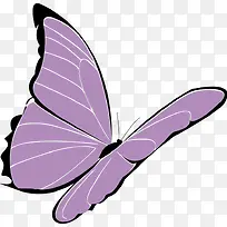 紫色的卡通蝴蝶