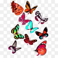 多彩清新蝴蝶装饰图案