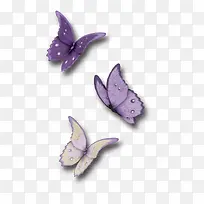 浪漫紫色蝴蝶