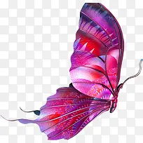 紫色手绘蝴蝶装饰图案