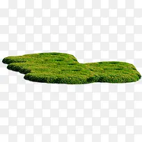 绿色的草地