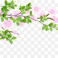 树枝树叶