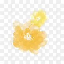 国画芙蓉