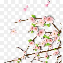 粉色艺术春天梅花花朵