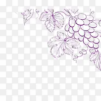 葡萄花卉装饰