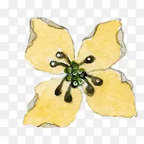 花卉