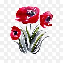红色鲜花