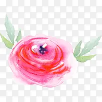 水彩手绘花朵抽象花朵玫红花朵