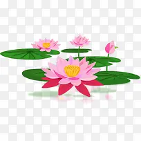 手绘荷花荷叶