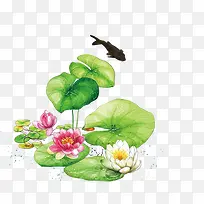 荷花荷叶小鱼