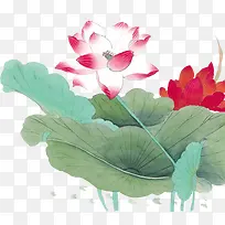 中国风绘画荷花荷叶