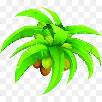 摄影绿色植物高清椰子