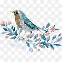 摄影插画手绘花朵鸟元素