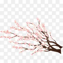 矢量手绘樱花