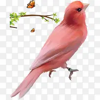 粉色虫鸟图案
