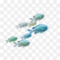 深海游鱼