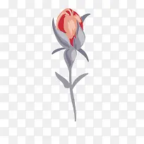 玫瑰花