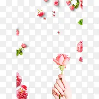情人节粉色玫瑰花装饰