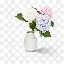 花瓶与花束r