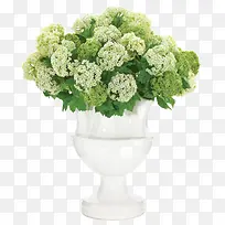 绿色花卉装饰白色花瓶
