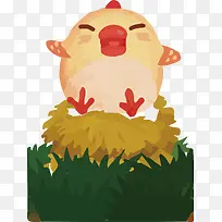 鸡窝里的小鸡