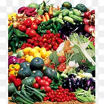 卡通素材食物图标 蔬菜水果