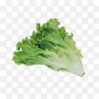 生菜