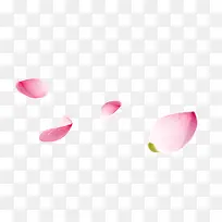 粉色花瓣漂浮