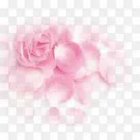 粉色梦幻玫瑰花朵花瓣