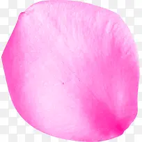 粉色高清摄影花瓣表面
