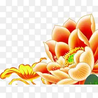 手绘荷花