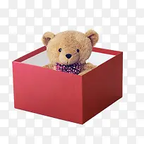 小熊礼物盒产品实物