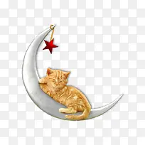 精美月亮星星猫