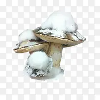 雪中蘑菇