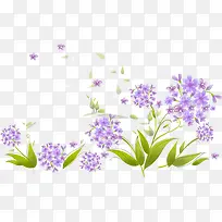 紫色唯美花束