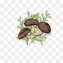 卡通创意蘑菇