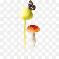 黄红色蘑菇蝴蝶装饰