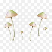蘑菇PNG免抠图素材